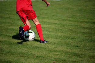 星空体育app体验棒-NBA球队青训体系建设与人才储备，nba青年队