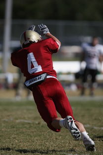 星空体育下载-NBA球队防守战术演变分析，nba球队防守效率排行榜